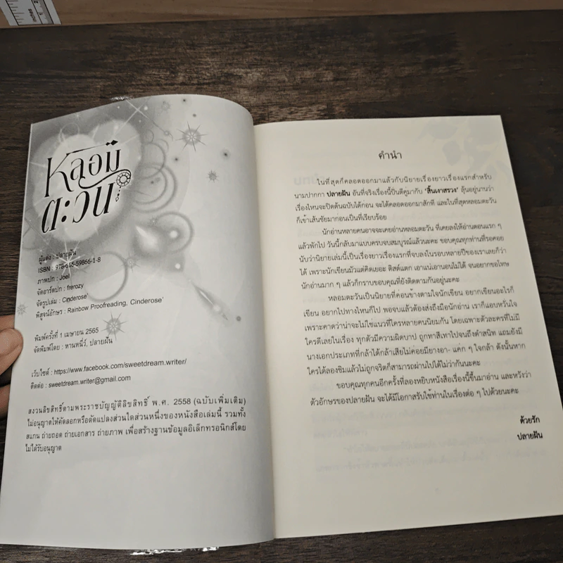 หลอมตะวัน - ปลายฝัน รูปที่ 5