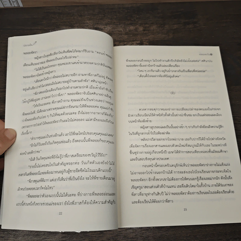 หลอมตะวัน - ปลายฝัน รูปที่ 6
