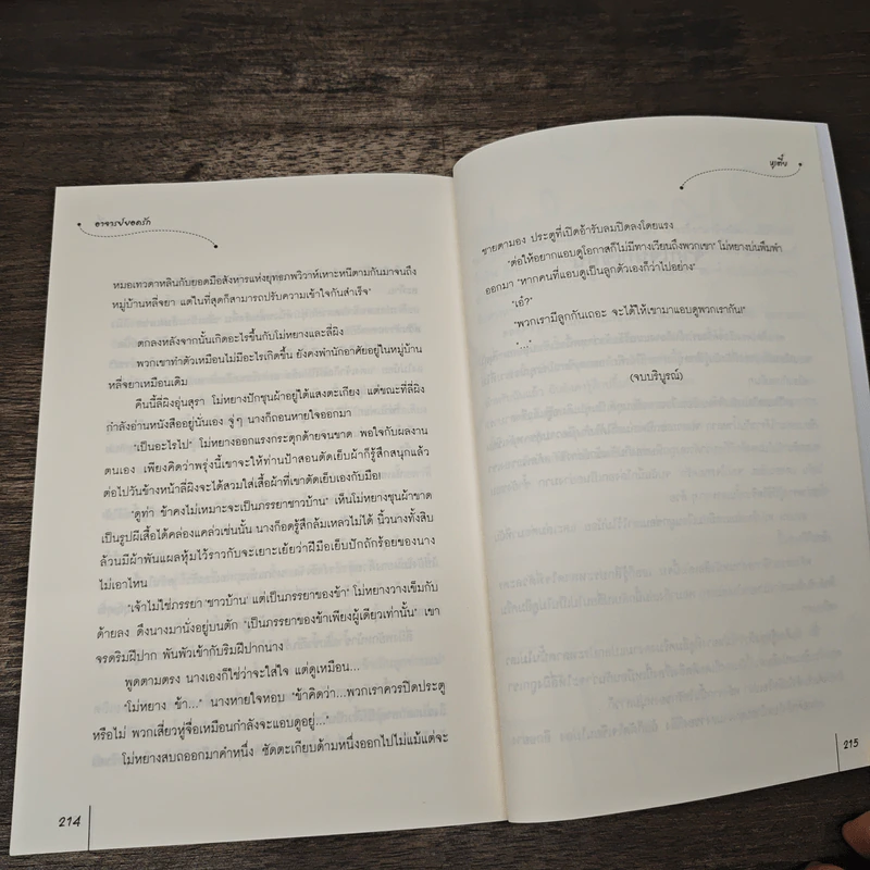 อาจารย์ยอดรัก ชุด หญิงงามจำแลงรัก - หูเตี๋ย รูปที่ 8