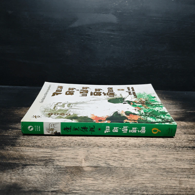 จอมคนแผ่นดินเดือด เล่ม 9 รูปที่ 3