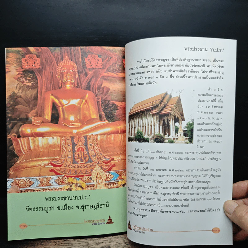 ไหว้พระประธาน 76 จังหวัด รูปที่ 10