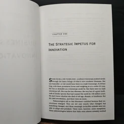 The Business of Innovation - Roger Bean รูปที่ 9