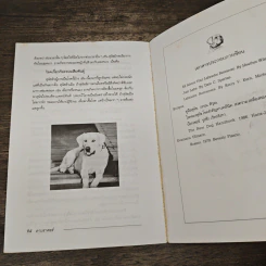 คู่มือลาบราดอร์ รีทรีฟเวอร์ - ผา สกุลแก้ว รูปที่ 9