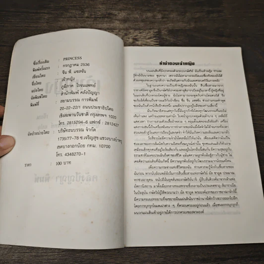 เจ้าหญิง - ภูมิภาค โรจนแพทย์ รูปที่ 6