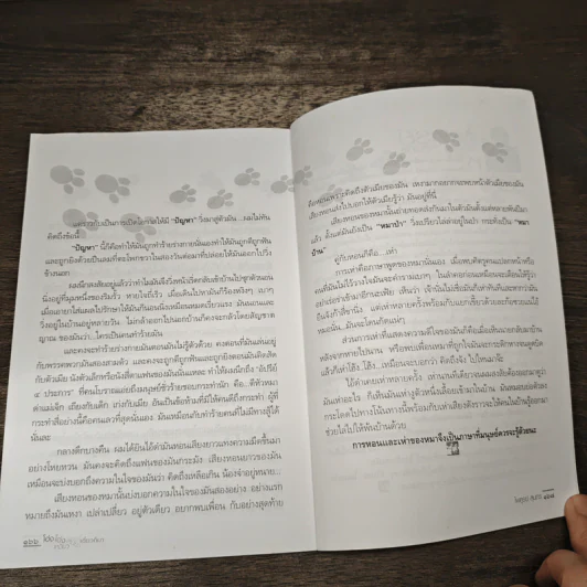 โอ่งโอ่งเหมียวเหมียวเดี๋ยวก็มา - ไพฑูรย์ สุนทร รูปที่ 9