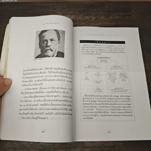 มะเร็งชีวิต - สาทิส อินทรกำแหง รูปที่ 8