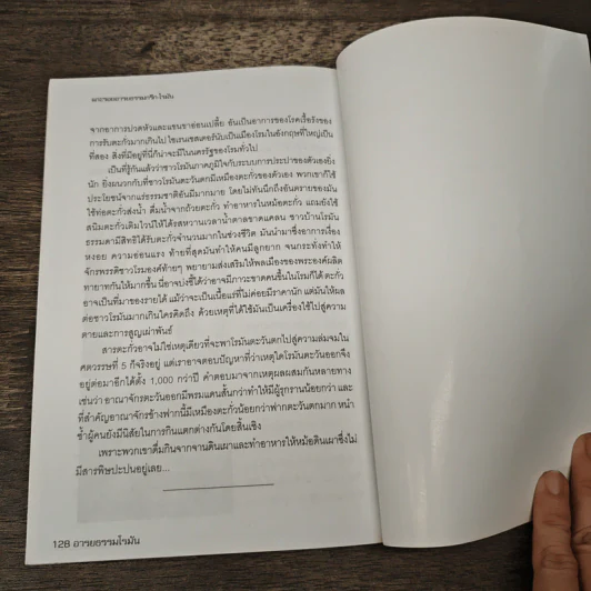 แกะรอยอารยะ กรีก-โรมัน ปมปริศนาที่ซ่อนเร้นจากอดีต - ลิปสลา รูปที่ 9