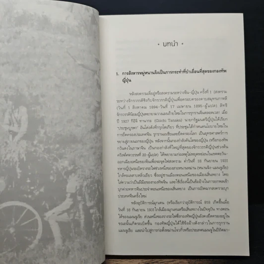 การสังหารหมู่หนานจิง A History of the Nanjing Massacre - จางเซี่ยนเหวิน, จางเหลียนหง, หวังเว่ยซิง รูปที่ 9