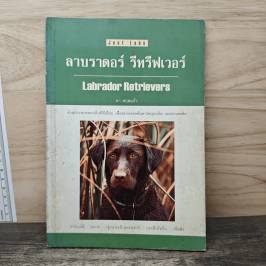 คู่มือลาบราดอร์ รีทรีฟเวอร์ - ผา สกุลแก้ว รูปที่ 1