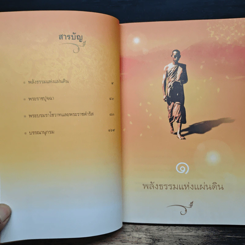 ในหลวงในรอยธรรม - ดนัย จันทร์เจ้าฉาย รูปที่ 7