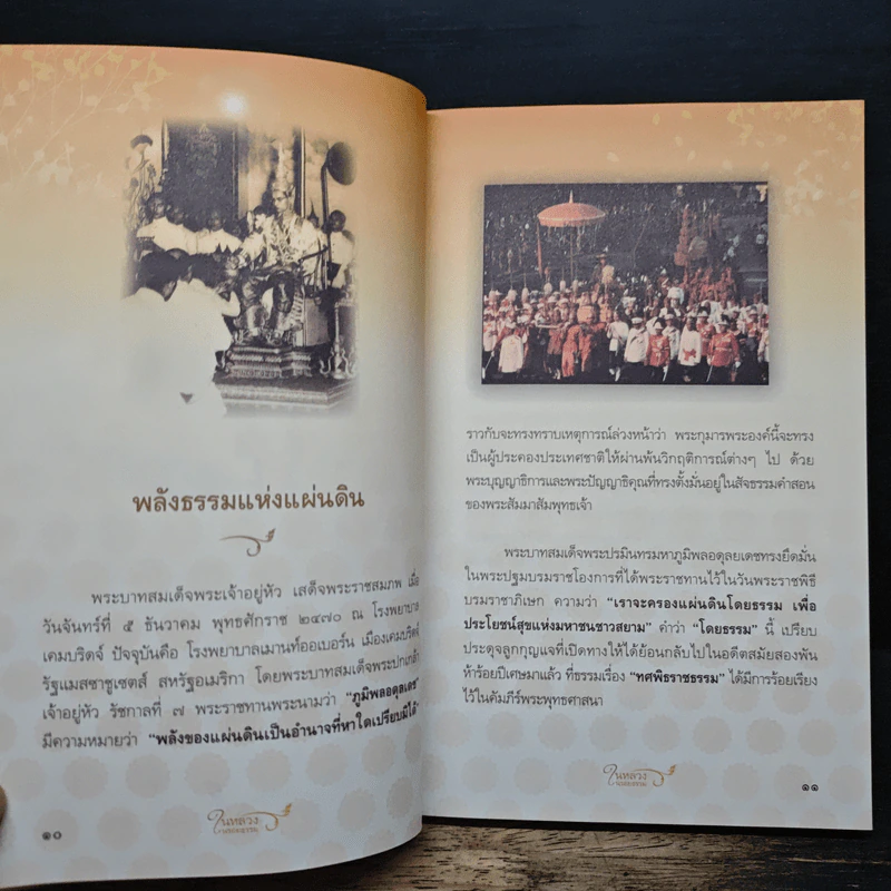 ในหลวงในรอยธรรม - ดนัย จันทร์เจ้าฉาย รูปที่ 8