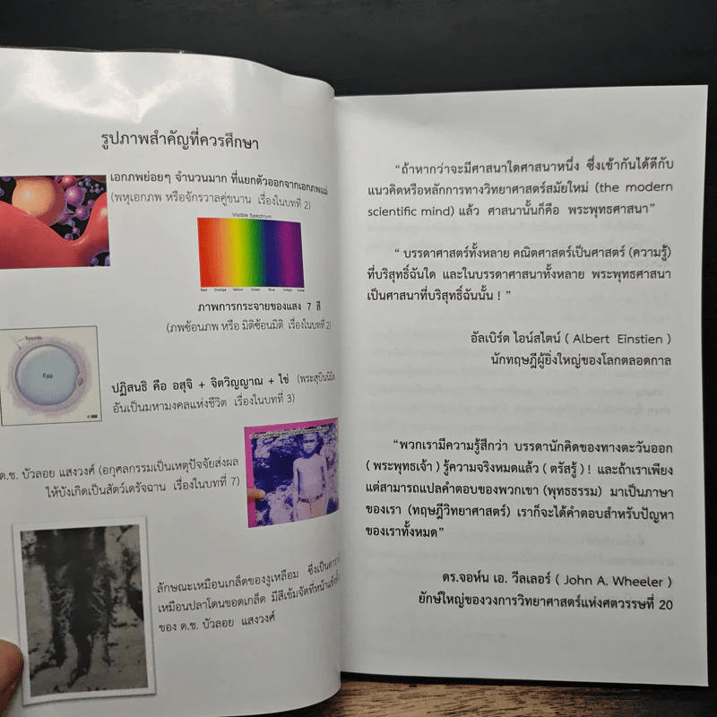 พุทธประวัติเชิงวิทยาศาสตร์ 1 - ชัยพฤหษ์ เพ็ญวิจิตร รูปที่ 8
