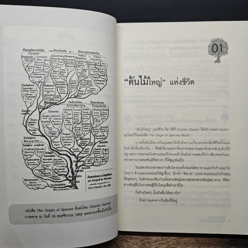 ต้นกำเนิดแบรนด์ The Origin of Brands - Al Ries, Laura Ries รูปที่ 8