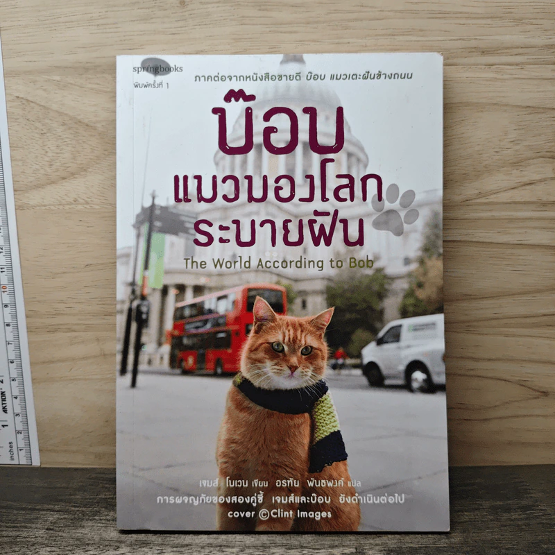 บ๊อบ แมวมองโลกระบายฝัน - เจมส์ โบเวน รูปที่ 1