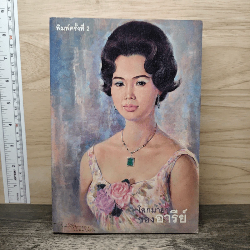 โลกมายาของอารีย์ รูปที่ 1