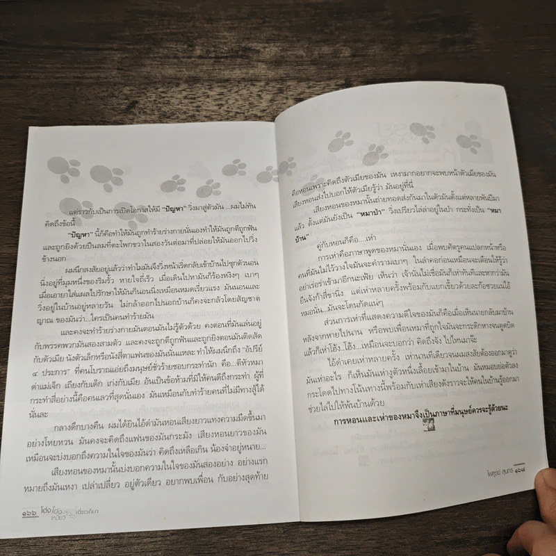โอ่งโอ่งเหมียวเหมียวเดี๋ยวก็มา - ไพฑูรย์ สุนทร รูปที่ 9