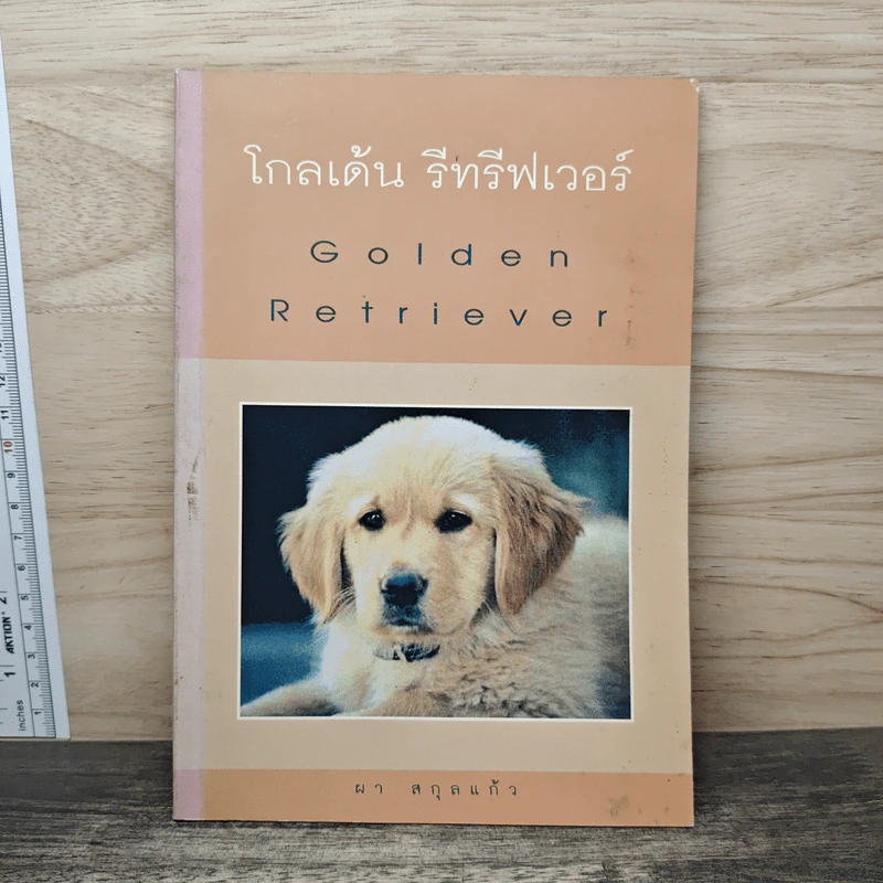 โกเด้น รีทรีฟเวอร์ - ผา สกุลแก้ว รูปที่ 1