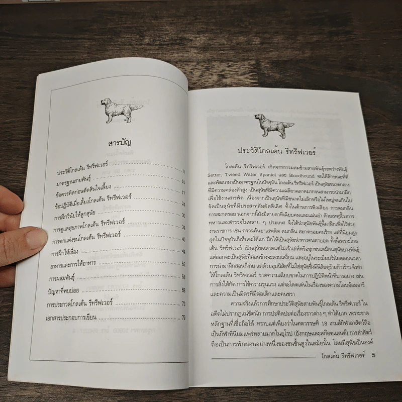 โกเด้น รีทรีฟเวอร์ - ผา สกุลแก้ว รูปที่ 7