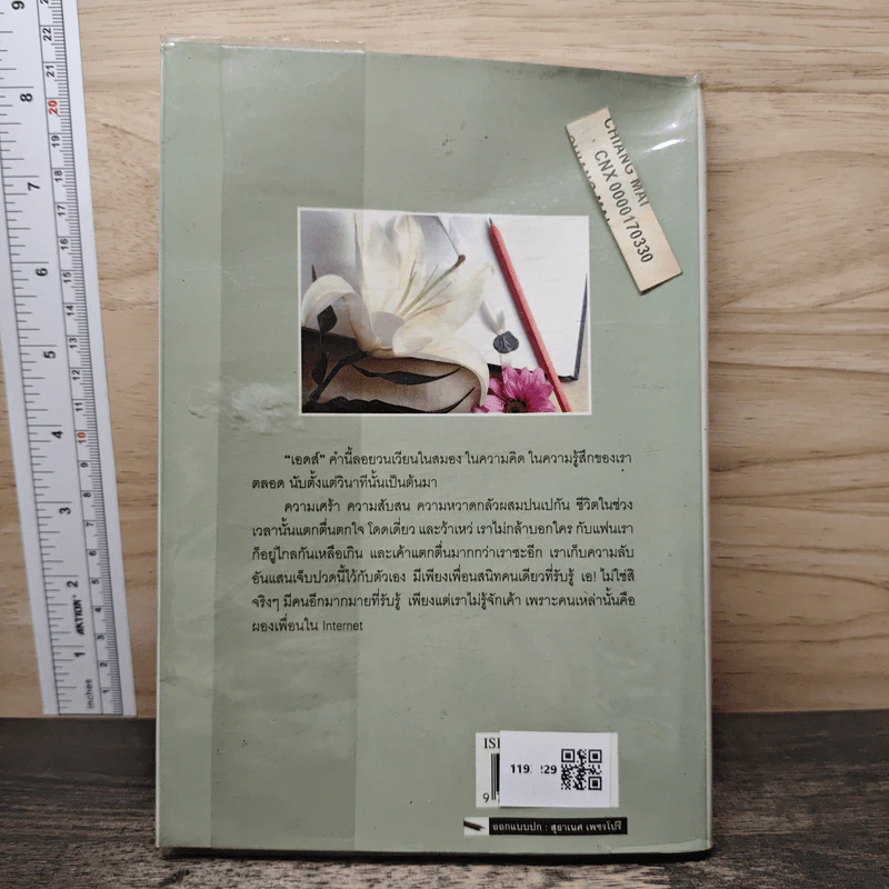 เอดส์ไดอารี่ เล่ม 2  มิตรภาพ ความหวัง กำลังใจ - แก้ว รูปที่ 5