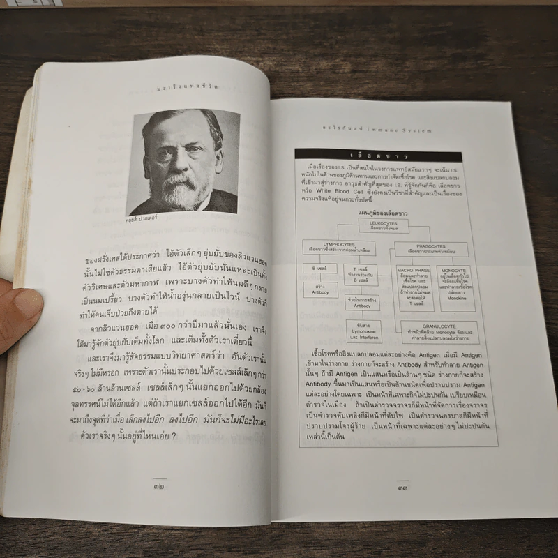 มะเร็งชีวิต - สาทิส อินทรกำแหง รูปที่ 8
