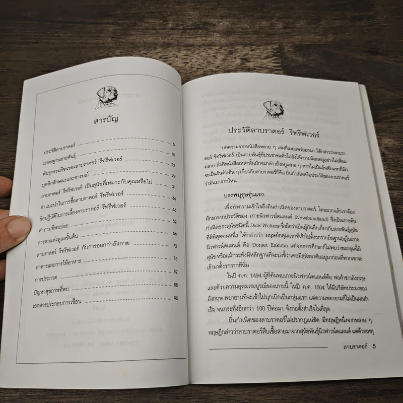 คู่มือลาบราดอร์ รีทรีฟเวอร์ - ผา สกุลแก้ว รูปที่ 7