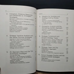 Business Unit Strategy - Eli Segev รูปที่ 7
