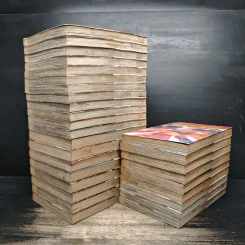 ลูกแกะพันธุ์เสือเค็นอิจิ เล่ม 1-29 รูปที่ 4
