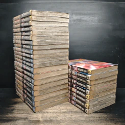 ลูกแกะพันธุ์เสือเค็นอิจิ เล่ม 1-29 รูปที่ 3