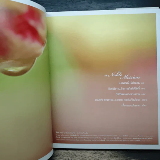 กรุณาแห่งหัวใจ Noble Mission - แม่ชีศันสนีย์ เสถียรสุต รูปที่ 8