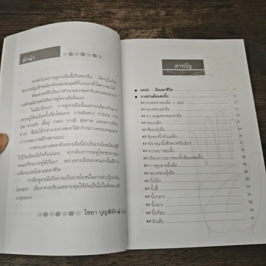 ทำนายลายมืออย่างง่ายๆ รู้ดวงชะตาดี-ร้าย - ไชยา บุญพิทักษ์ รูปที่ 7