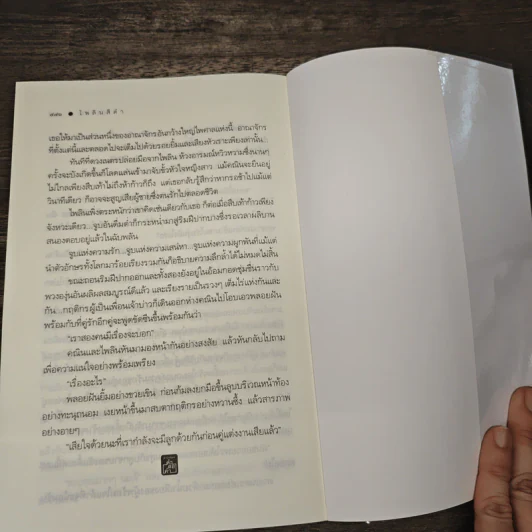 ไพลินสีดำ - เปลวฝน รูปที่ 9