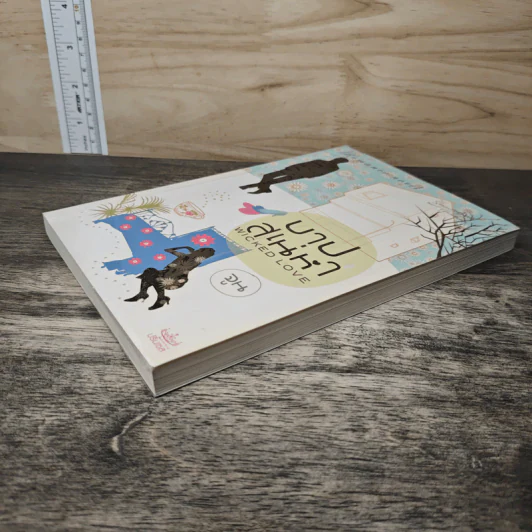 บาปสเน่หา - จูน รูปที่ 3