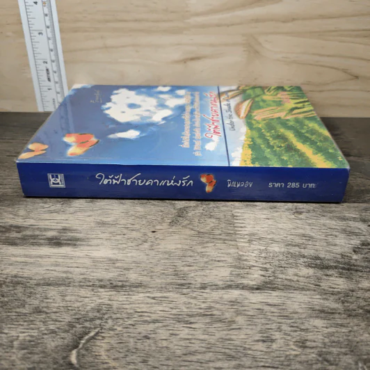 ใต้ฟ้าชายคาแห่งรัก - พิณพลอย รูปที่ 2