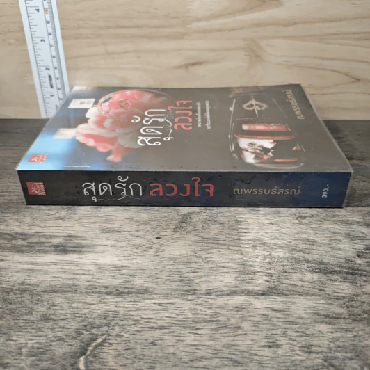 สุดรักลวงใจ - ณพรรษธ์สรฌ์ รูปที่ 2