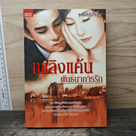 เพลิงแค้นพันธนาการรัก - พัฒน์รวี รูปที่ 1