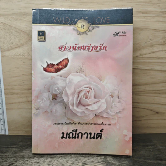 สาวน้อยร่ายรัก - มณีกานต์ รูปที่ 1