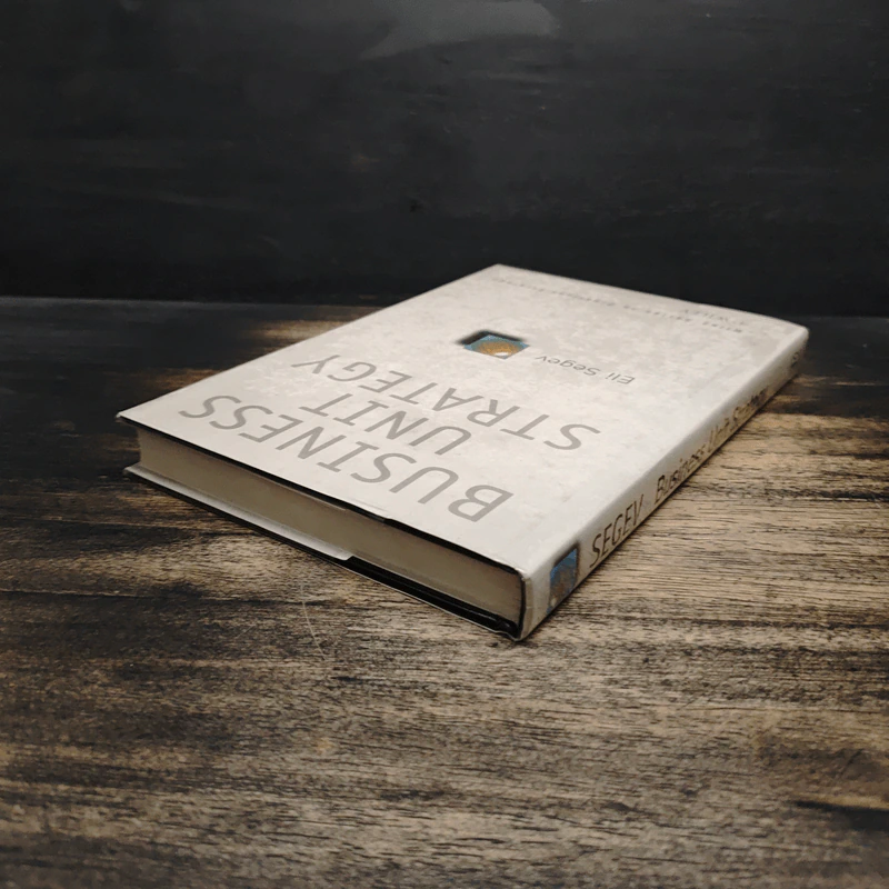 Business Unit Strategy - Eli Segev รูปที่ 5