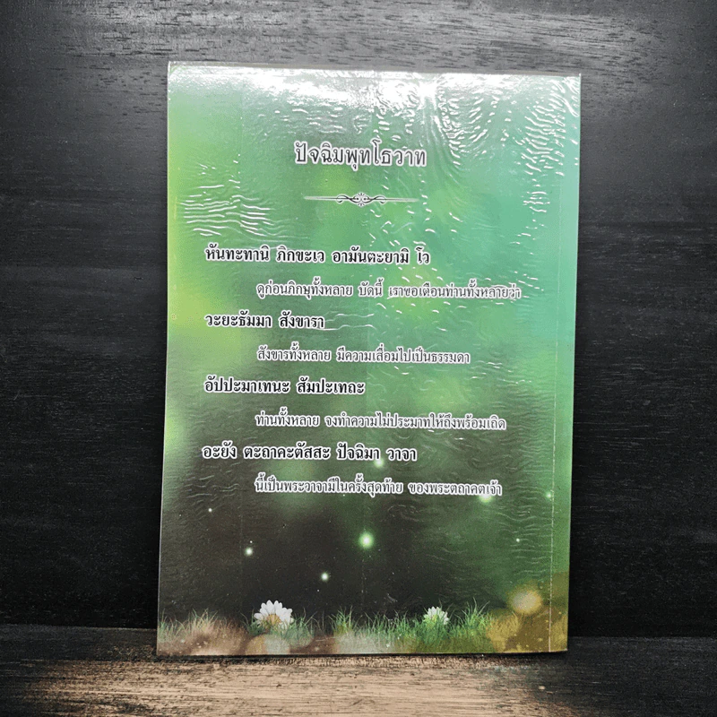 พิจารณาสังขาร อนิจจัง ทุกขัง อนัตตา รูปที่ 2
