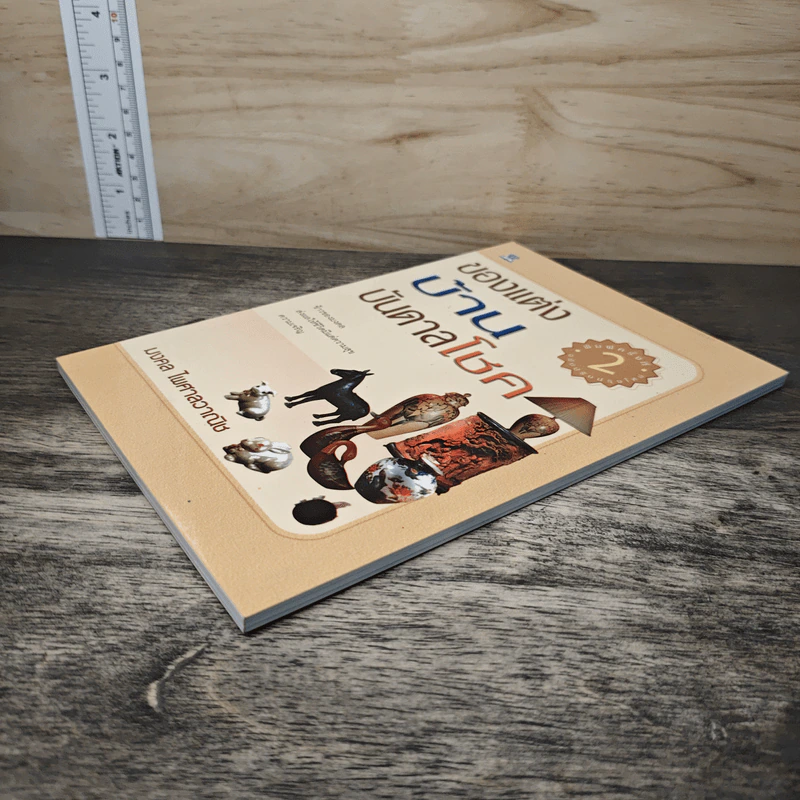 ของตกแต่งบ้านบันดาลโชค - มงคล ไพศาลวาณิช รูปที่ 3
