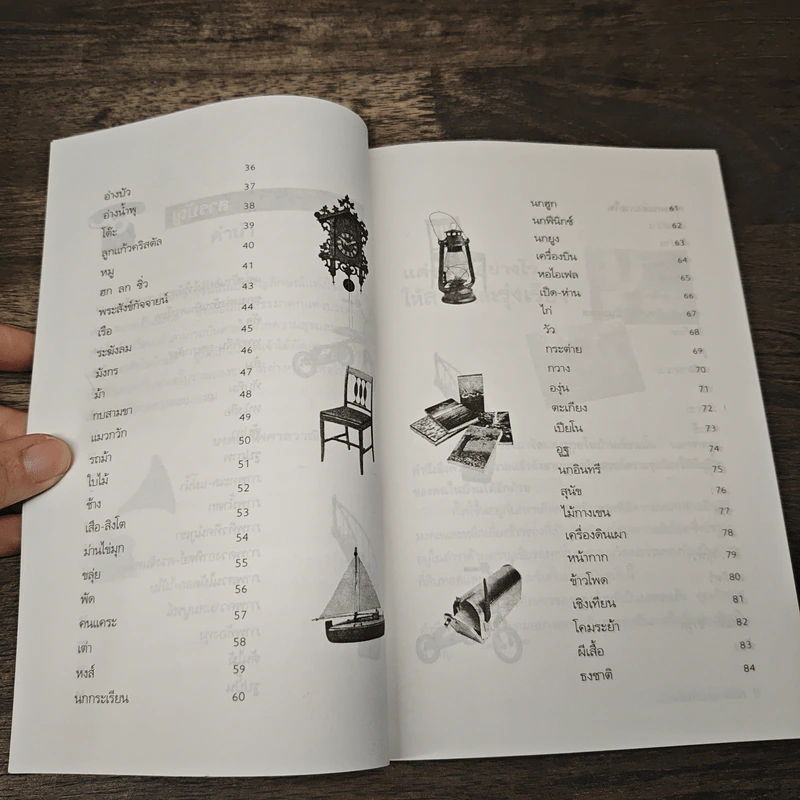 ของตกแต่งบ้านบันดาลโชค - มงคล ไพศาลวาณิช รูปที่ 8
