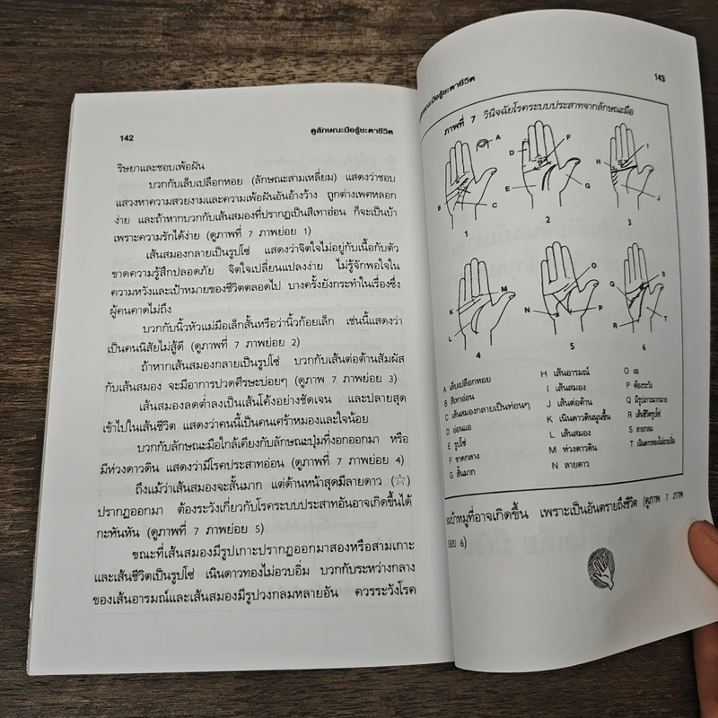 ดูลักษณะมือ รู้ชะตาชีวิต - ม.อึ้งอรุณ รูปที่ 9