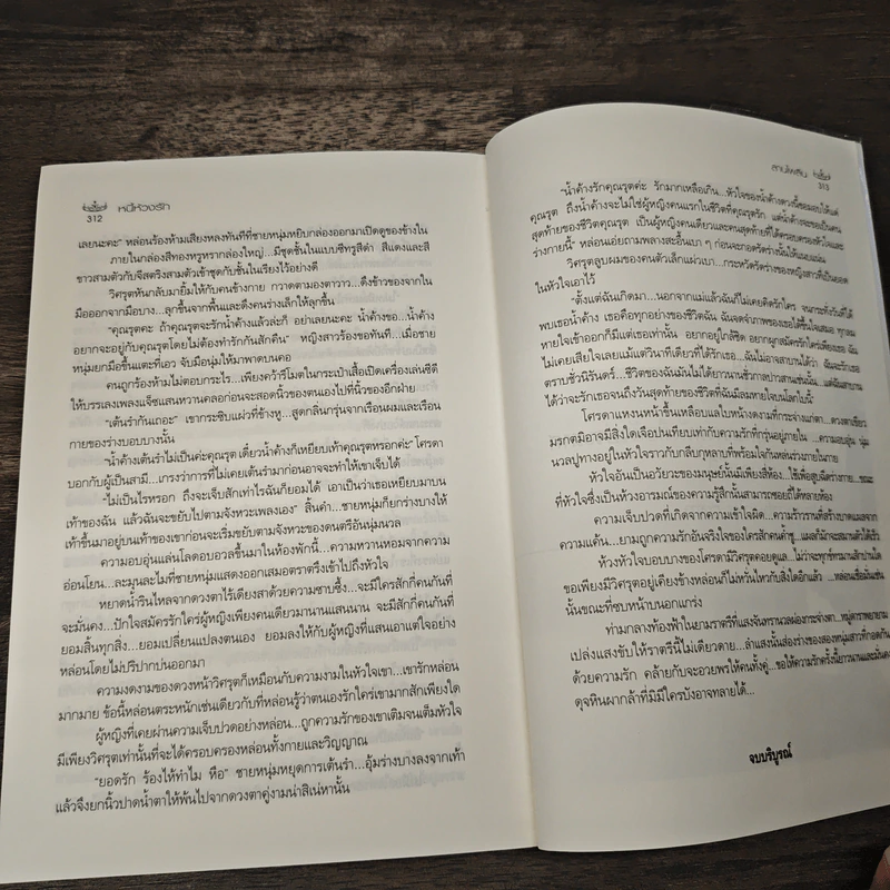 หนี้ห้วงรัก - ลานไพลิน รูปที่ 8