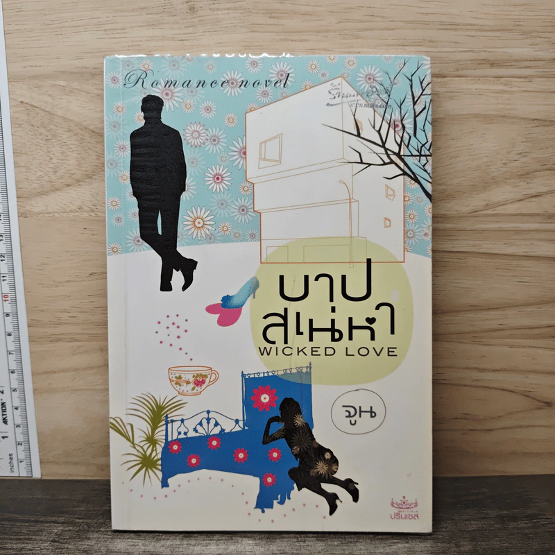 บาปสเน่หา - จูน รูปที่ 1