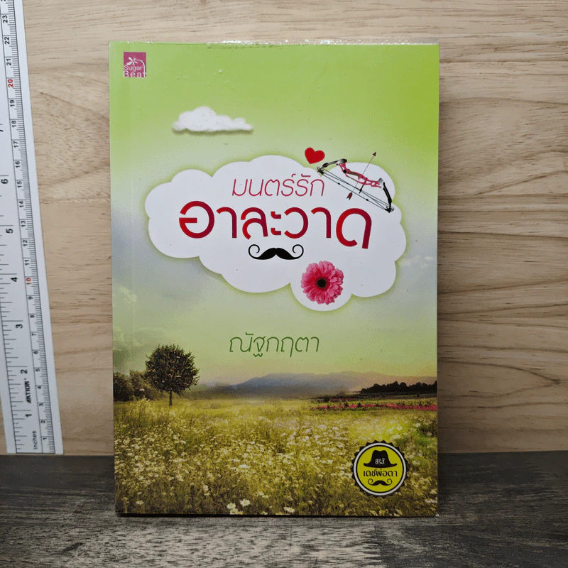 มนตร์รักอาละวาด - ณัฐกฤตา รูปที่ 1
