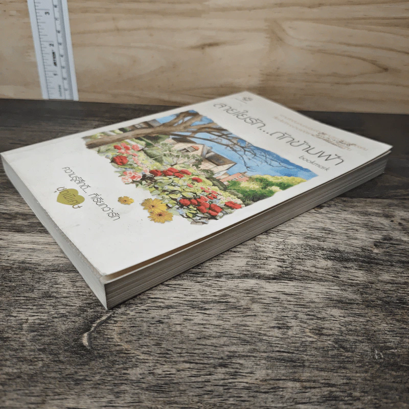 สายใยรัก...ถักข้ามฟ้า - Bookmark รูปที่ 3