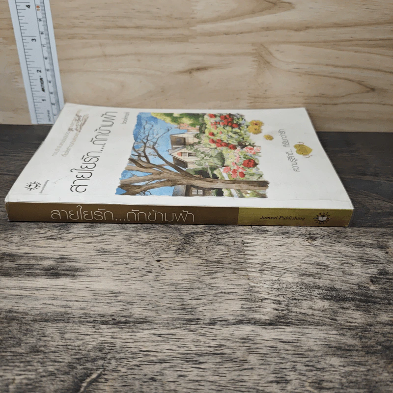 สายใยรัก...ถักข้ามฟ้า - Bookmark รูปที่ 2