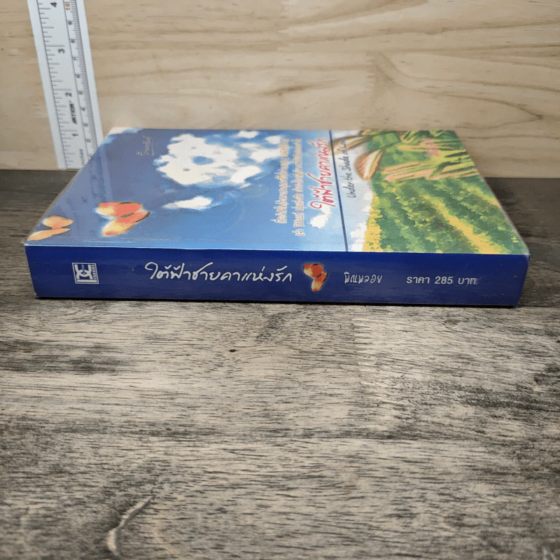 ใต้ฟ้าชายคาแห่งรัก - พิณพลอย รูปที่ 2