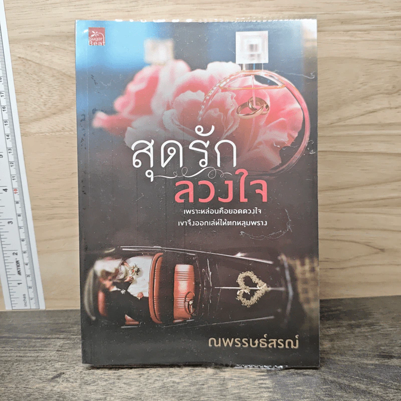 สุดรักลวงใจ - ณพรรษธ์สรฌ์ รูปที่ 1