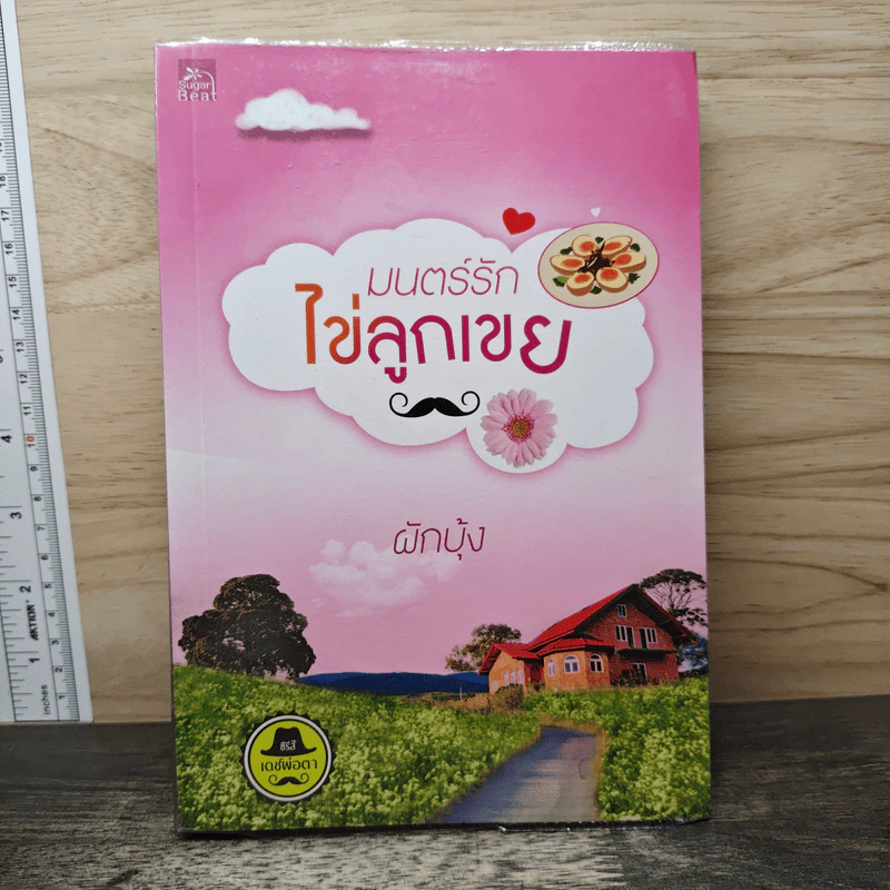 มนตร์รักไข่ลูกเขย - ผักบุ้ง รูปที่ 1