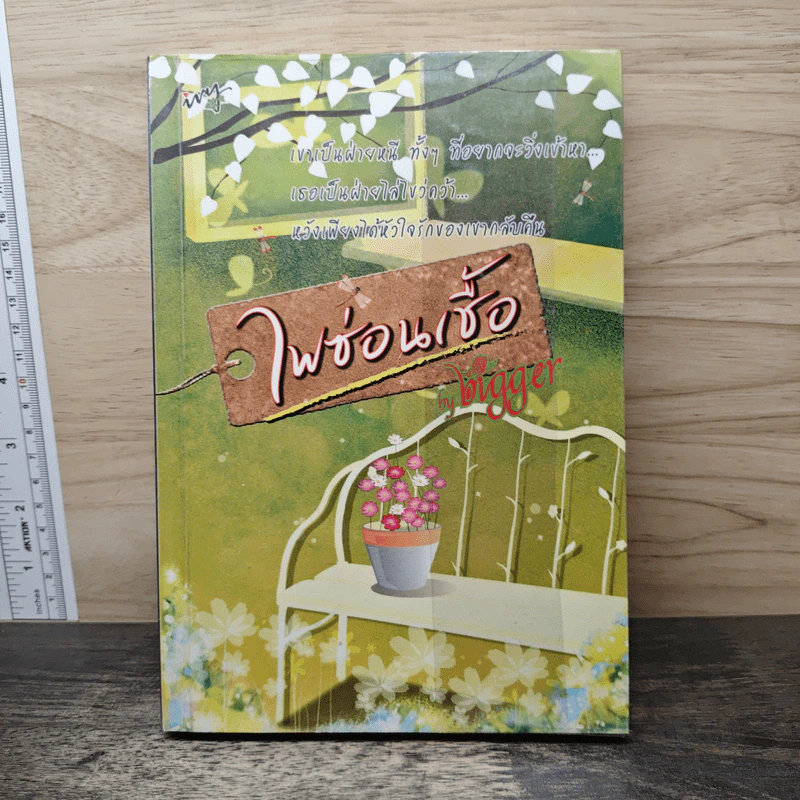 ไฟซ่อนเชื้อ - Bigger รูปที่ 1